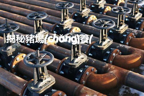 揭秘豬場(chǎng)養(yǎng)殖廢水處理工藝的以后之路？探索新技術(shù)與環(huán)保的完滿結(jié)合！